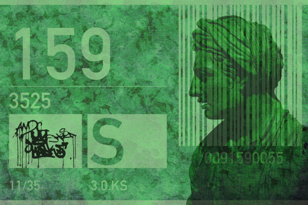 Carte da parati modello 159 verde